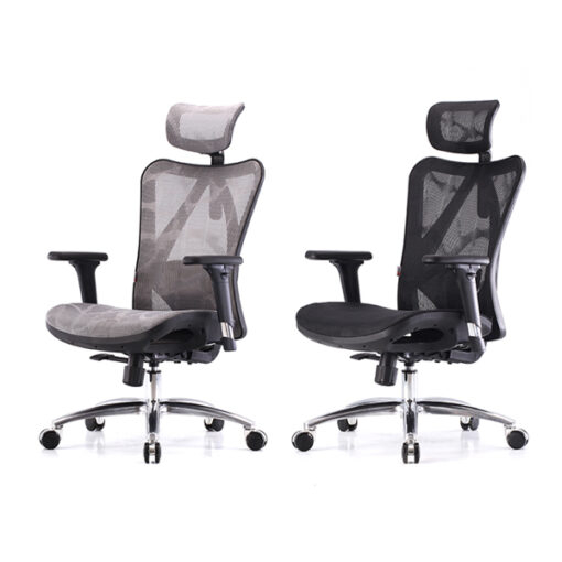 Ghế công thái học Sihoo M57